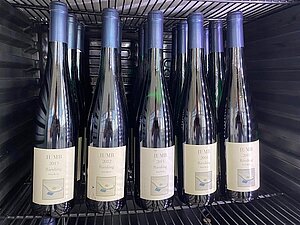 Mehrere Jahrgänge des IUMB